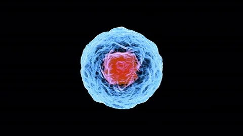 3D rendered Animation of Cell Replication Vídeos de archivo 72940474