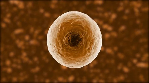 3D rendered Animation of a duplicating Cell Video stock 82983515