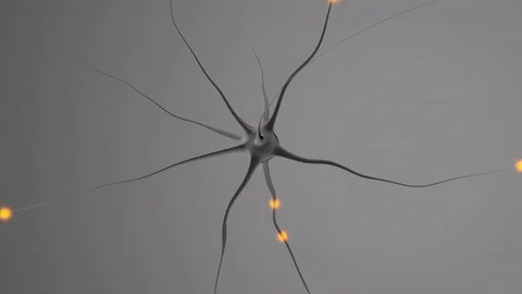 3D rendered Animation of electric Impulses going through a Neuron Stock Footage 81813592