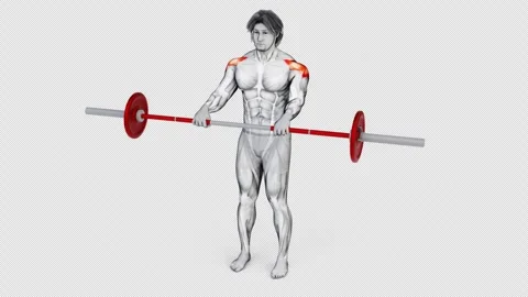 3d rendered animation of a man doing Front Raise barbell exercise for shoulders Stock Footage 248953972