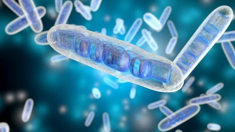 3D rendered Animation of moving Mitochondria Cells Stock Footage 105579087