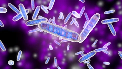 3D rendered Animation of moving Mitochondria Cells Stock Footage 109114891