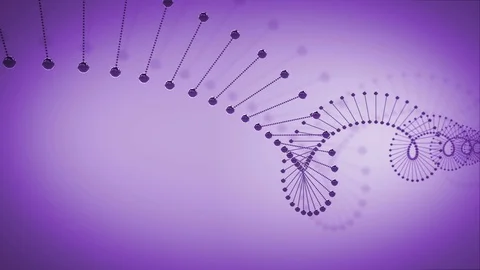 3D rendered animation of rotating DNA glowing molecules on purple background Stock Footage 107832943