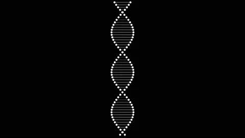 3D rendered animation of rotating DNA on black background 스톡 동영상 171055141