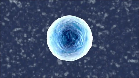 3D rendered Animation of a single biological Cell Stock Footage 82983528