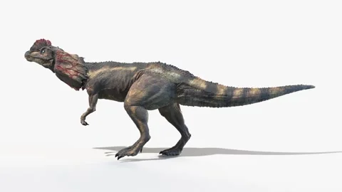 3D Rendered Animation of a walking Dilop... | Stock Video | Pond5