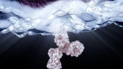 3D rendered antibody binding to a cell surface by Polymime Stock Footage 75403826