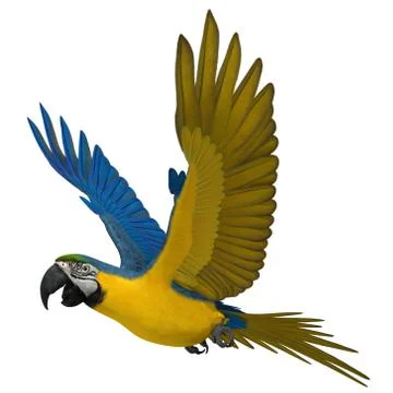 3D Rendered Ara Ararauna "Blue-and-yellow Macaw Parrot" Illustrazione stock