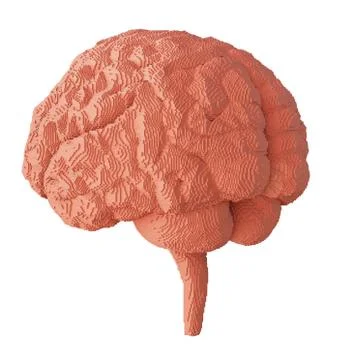 3d rendered brain isolated Illustrazione stock