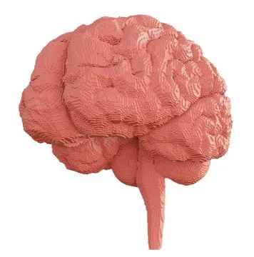 3d rendered brain isolated Illustrazione stock
