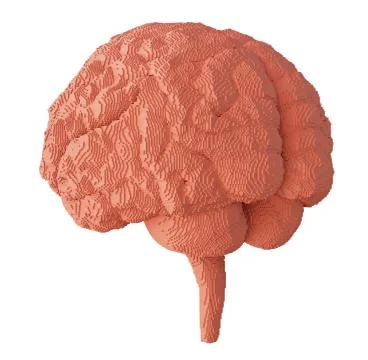 3d rendered brain isolated Stock Illustration