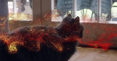 3D-rendered cat reacting to golden spark with embers swirling along flank Stock Footage 314094757