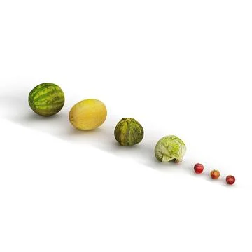 3D rendered collection of lettuces, a melon, watermelon and three tomatoes Stock Illustration