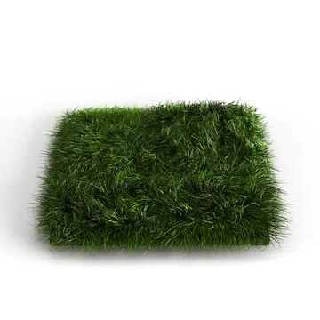 3d rendered grass patch on a white background with some shadows Illustrazione stock