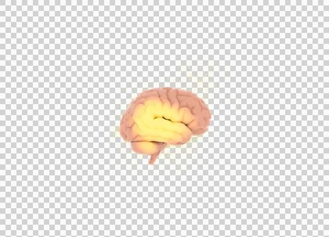 3D rendered human brain with glowing yellow neural activity and dynamic par.. Stock Illustration