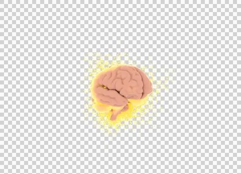 3D rendered human brain with glowing yellow neural activity and dynamic par.. Illustrazione stock