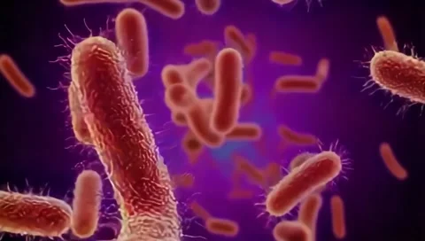 3d rendered illustration of a bacteria Stock Footage 300039282