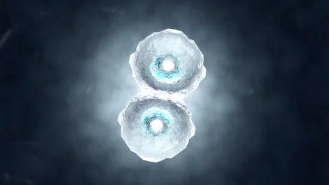3D rendered illustration of Cell Replication Stock Illustration