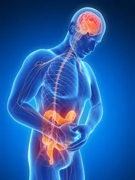 3d rendered illustration of a man having bellyache Stock Illustration