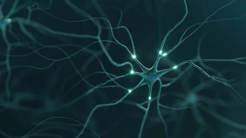A 3D rendered illustration of a neuron, showcasing its intricate structure Stock Footage 315465552