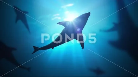 3D rendered illustration of sun light rays under water. Stock Illustration