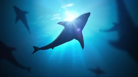 3D rendered illustration of sun light rays under water. 스톡 일러스트