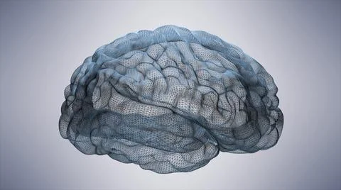 3d rendered illustration of wireframe brain Stock-Illustration