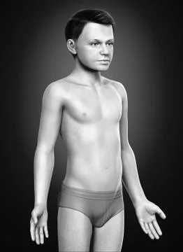3d rendered illustration of the young boy body Stock Illustration