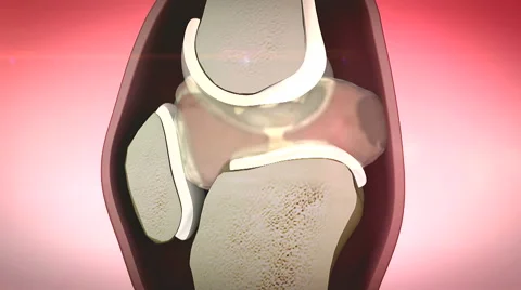 3d rendered knee, close up Stock Footage 45039520