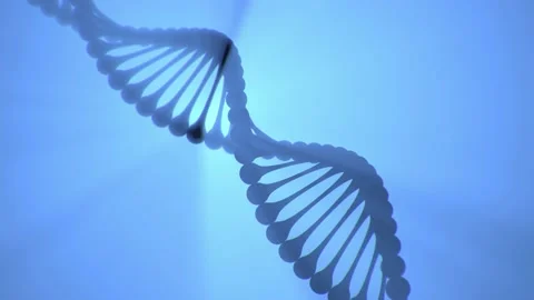 3D rendered looped animation of DNA helix turning around on blue background Stock Footage 145845497