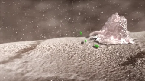 3D rendered macrophage destroying bacteria by Polymime http://www.polymime.com Stock Footage 75404173