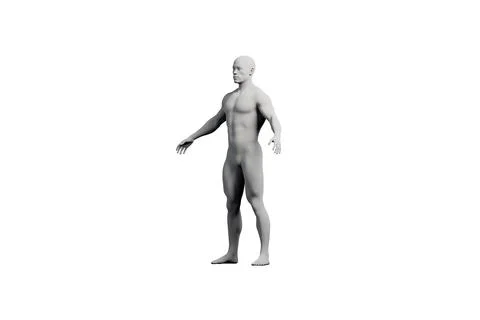 3D rendered male figure model standing in front view Stock Illustration
