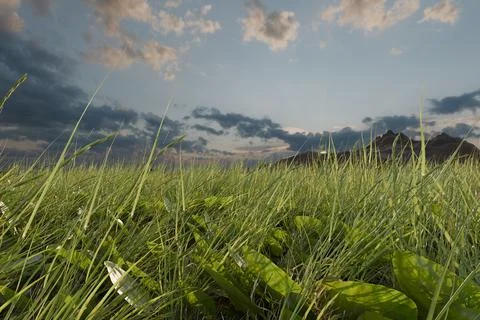 3d rendered meadow at sunset with distant mountains Foto stock