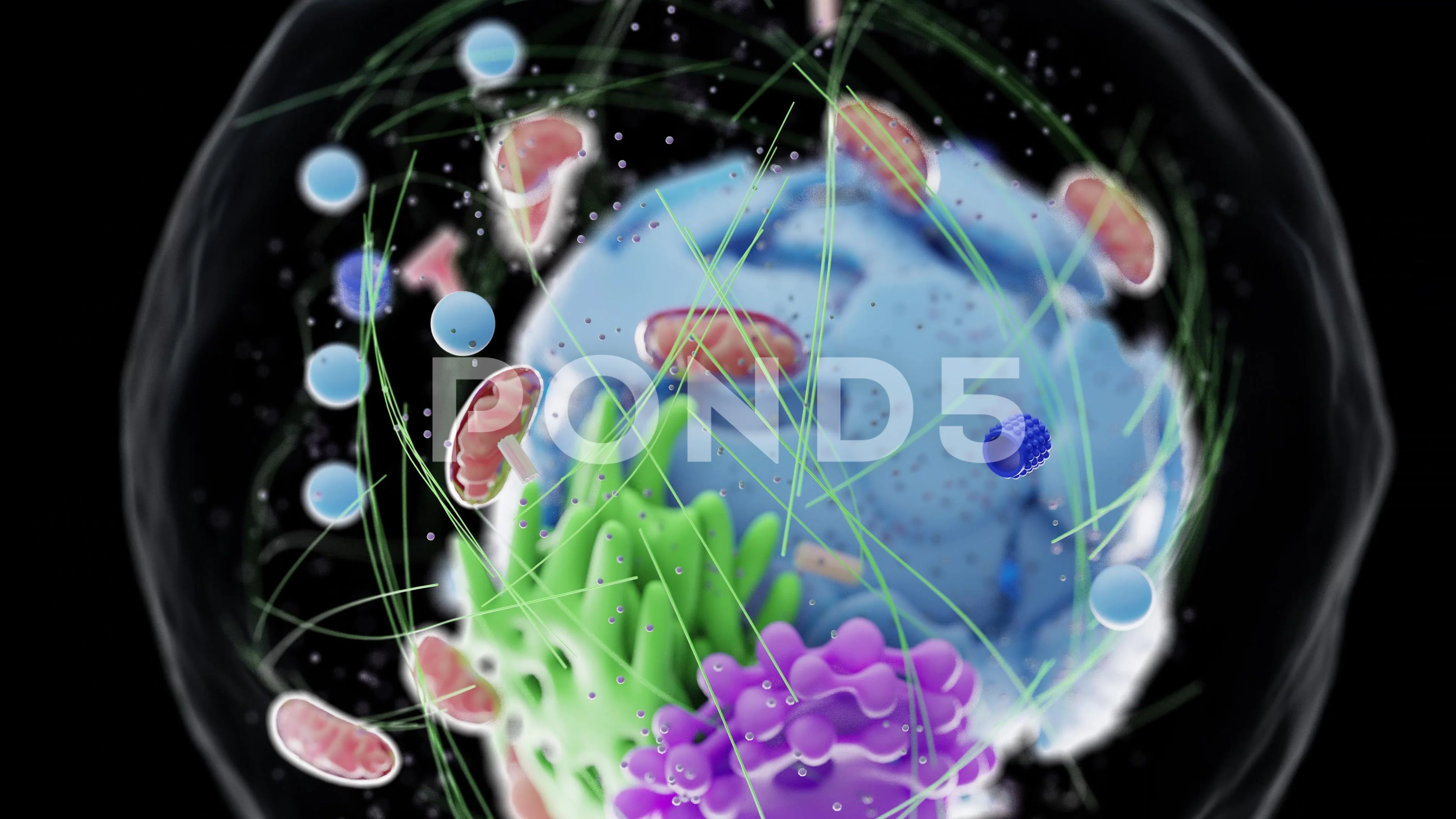 Medical Animations Cell Biology Stock Video Footage | Royalty Free Medical Animations Cell Biology Videos | Pond5 Medical Animations Cell Biology Stock Video Footage | Royalty Free Medical Animations Cell Biology Videos | Pond5