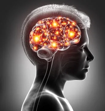 3d rendered, medically accurate illustration of a young boy active brain Illustrazione stock