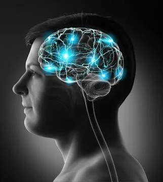 3d rendered, medically accurate illustration of a male active brain Illustrazione stock