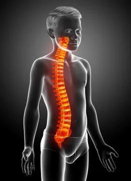 3d rendered medically accurate illustration of a high lighted spine . Stock Illustration