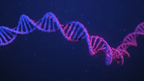 3D Rendered Neon DNA molecule looped animation Stock Footage 155675611
