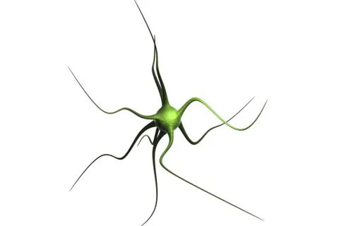 3d rendered neuron on white background. Stock Illustration
