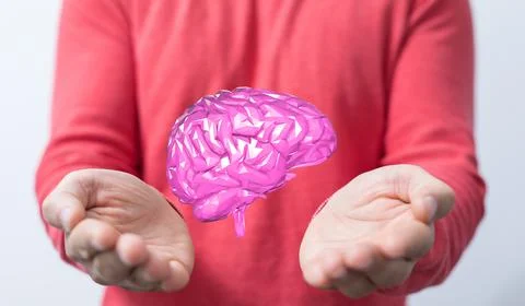 A 3D rendered pink human brain hovering over a person's hands - Artificial In Stock Photos