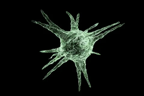 3d rendered rotating bacteria / virus loopable with alpha mate ntsc Stock Footage 519216