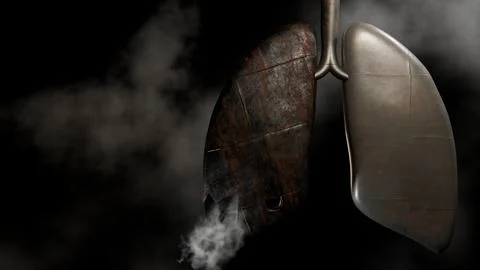 3d rendered steampunk lungs with smoke and damage Stock Illustration