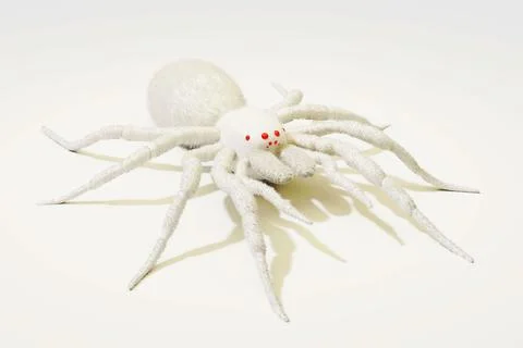 3d rendered of white Spider Tarantula, albino spider Illustrazione stock