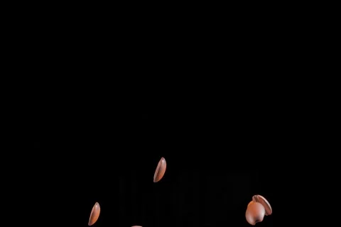 3d renderin coffe beans Stock Footage 164716709