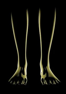 3d rendering. 3d illustration . Human parts with black background . legs Stock Illustration