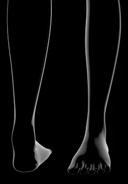 3d rendering. 3d illustration . Human parts with black background . legs Stock Illustration