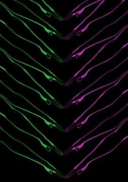 3d rendering. 3d illustration . Human parts with black background . Hand Stock Illustration