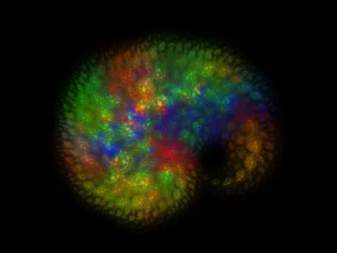 3D rendering abstract fractal Illustrazione stock