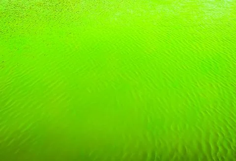 3D rendering of an abstract green water background Stock-Illustration