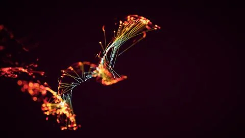 3D rendering of a abstract particle and plexus system on a dark background Stock Photos